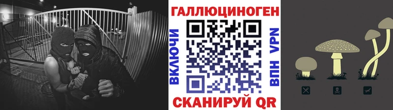 KRAKEN онион  как найти   Анжеро-Судженск  Псилоцибиновые грибы Cubensis 