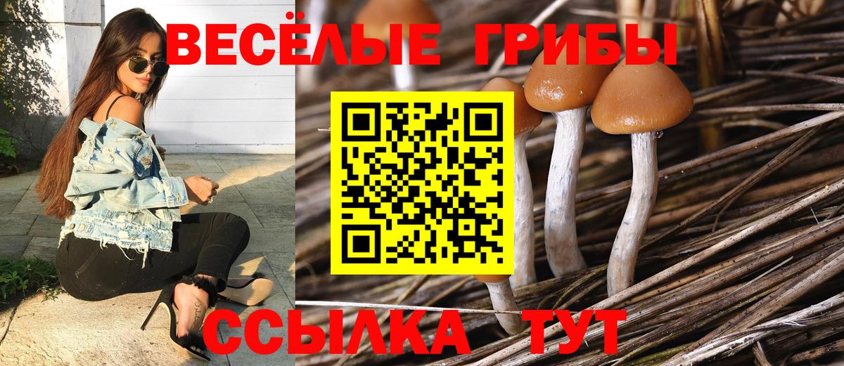 Псилоцибиновые грибы MAGIC MUSHROOMS Анжеро-Судженск
