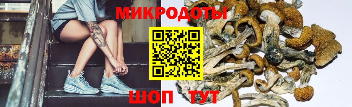 Анжеро-Судженск  Псилоцибиновые грибы GOLDEN TEACHER  Псилоцибиновые грибы GOLDEN TEACHER  Вход с VPN 